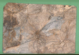 Ember Dusk 20mm honed marble