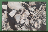 Calacatta Viola 20mm honed marble