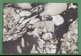 Calacatta Viola 20mm honed marble