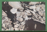 Calacatta Viola 20mm honed marble