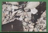 Calacatta Viola 20mm honed marble