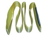 Aardwolf endless web sling 3T