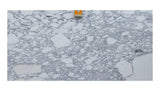 Arabescato Corchia 20mm honed marble