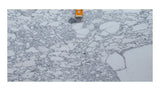 Arabescato Corchia 20mm honed marble