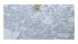 Arabescato Corchia 20mm honed marble