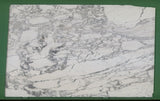 Calacatta Carrara 20mm honed  marble