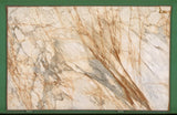 Calacatta Gold 20mm honed  marble
