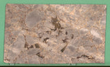 Carpathian 20mm leathered marble