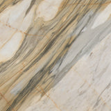 Calacatta Macchia Vecchia  20mm honed marble