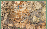 Patagonia Gold 20mm polished quartzite