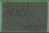 Vitoria Regia 20mm leathered quartzite