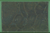 Vitoria Regia 20mm leathered quartzite