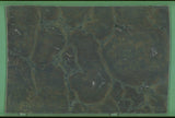 Vitoria Regia 20mm leathered quartzite