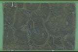 Vitoria Regia 20mm leathered quartzite