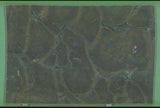 Vitoria Regia 20mm leathered quartzite
