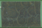 Vitoria Regia 20mm leathered quartzite