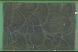 Vitoria Regia 20mm leathered quartzite