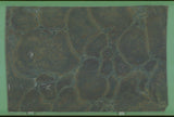 Vitoria Regia 20mm leathered quartzite