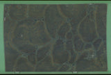 Vitoria Regia 20mm leathered quartzite