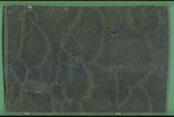 Vitoria Regia 20mm leathered quartzite