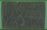 Vitoria Regia 20mm leathered quartzite