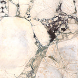 Calacatta Viola 20mm honed marble