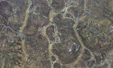 Vitoria Regia 20mm leathered quartzite